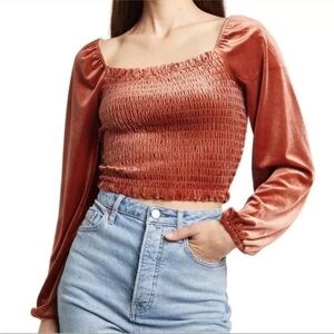Anthropologie  Elodie burnt orange velvet top